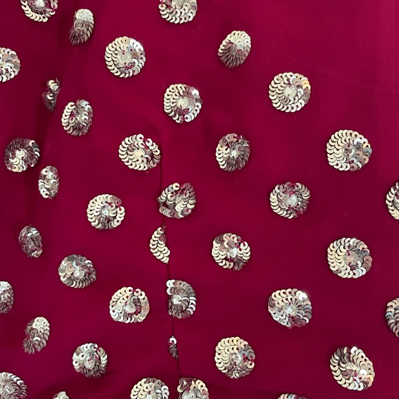 Beautiful Saree! - Picture 6 of 11